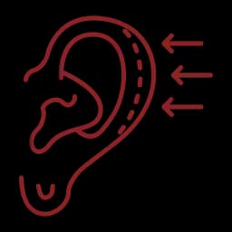 service icon